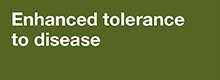 Tolerance to Disease